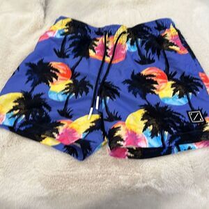 American eagle men’s bathing suit size medium